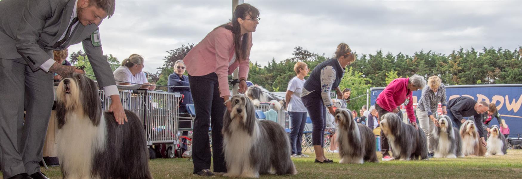 Windsor Championship Dog Show (image ShowdogMedia)