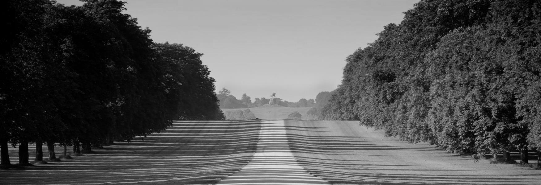 The Long Walk, Windsor Great Park