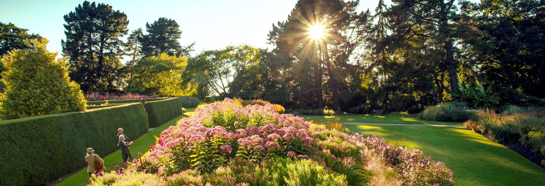 The Herbaceous Borders at The Savill Garden