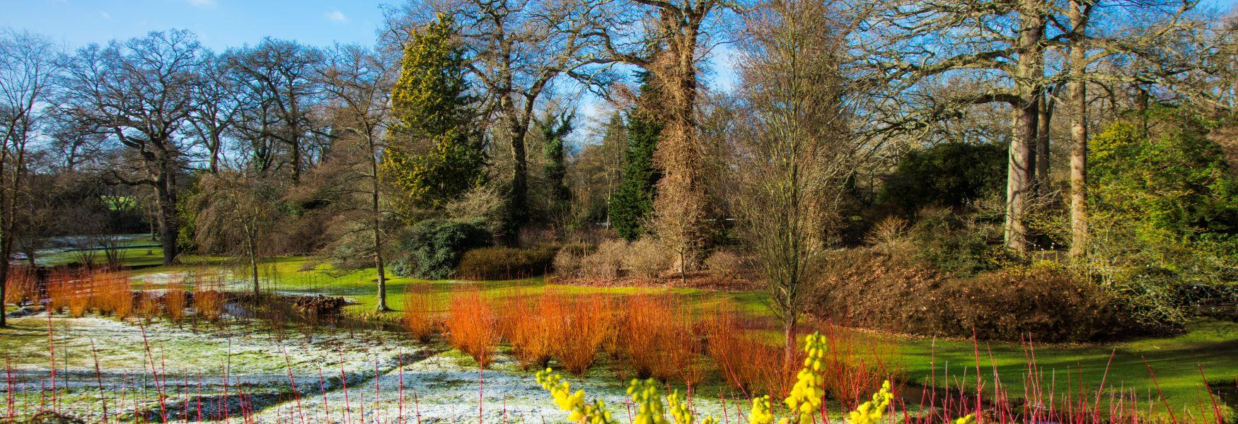 Best spots for nature walks in UK including Brandon Marsh and Looe