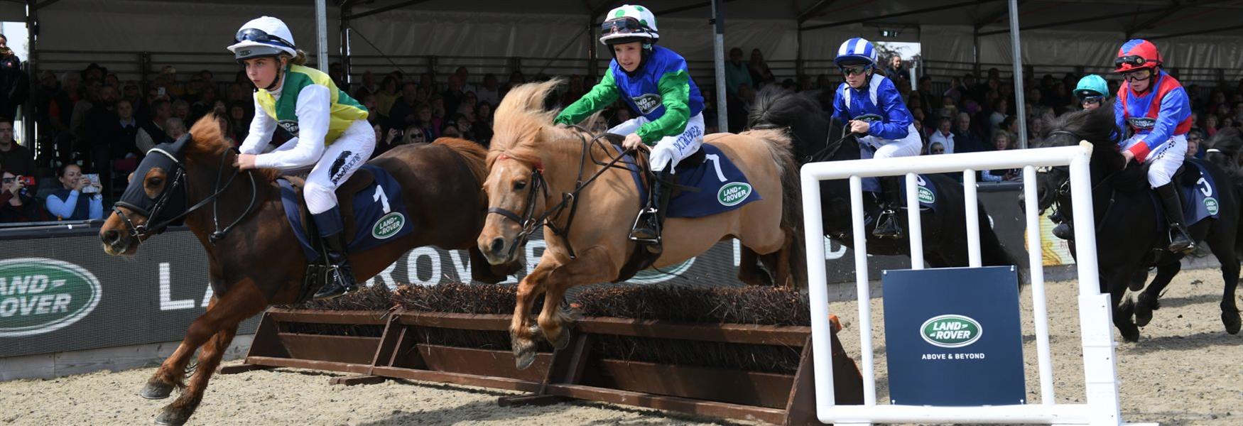 Shetland Pony Grand National, Royal Windsor Horse Show