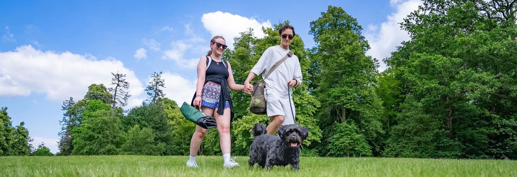 Dog walking in Windsor Great Park