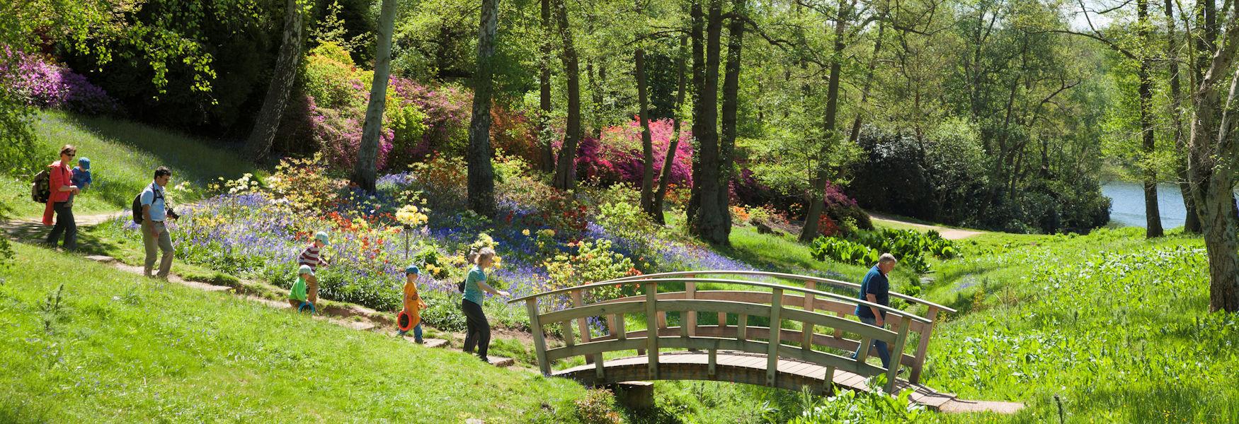 The Valley Gardens, Windsor Great Park