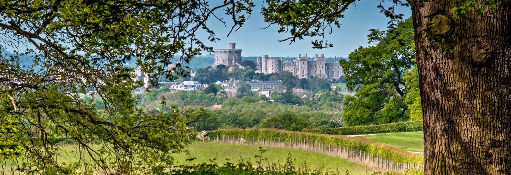 Windsor Castle seen from Windsor Great Park, image Gill Heppell