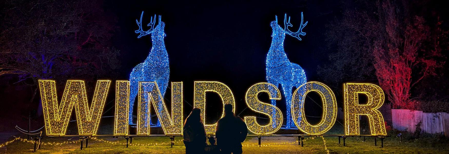 Windsor Great Park Illuminated