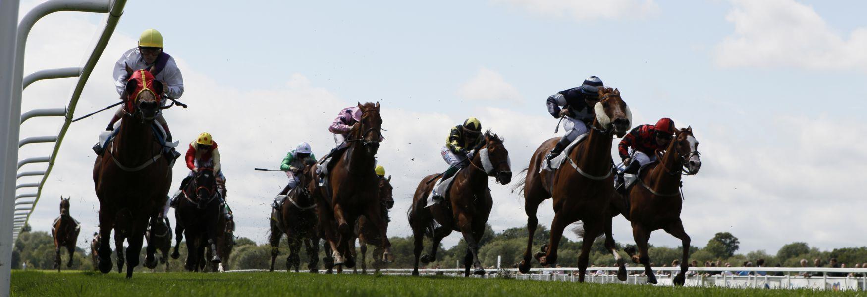 Royal Windsor Racecourse