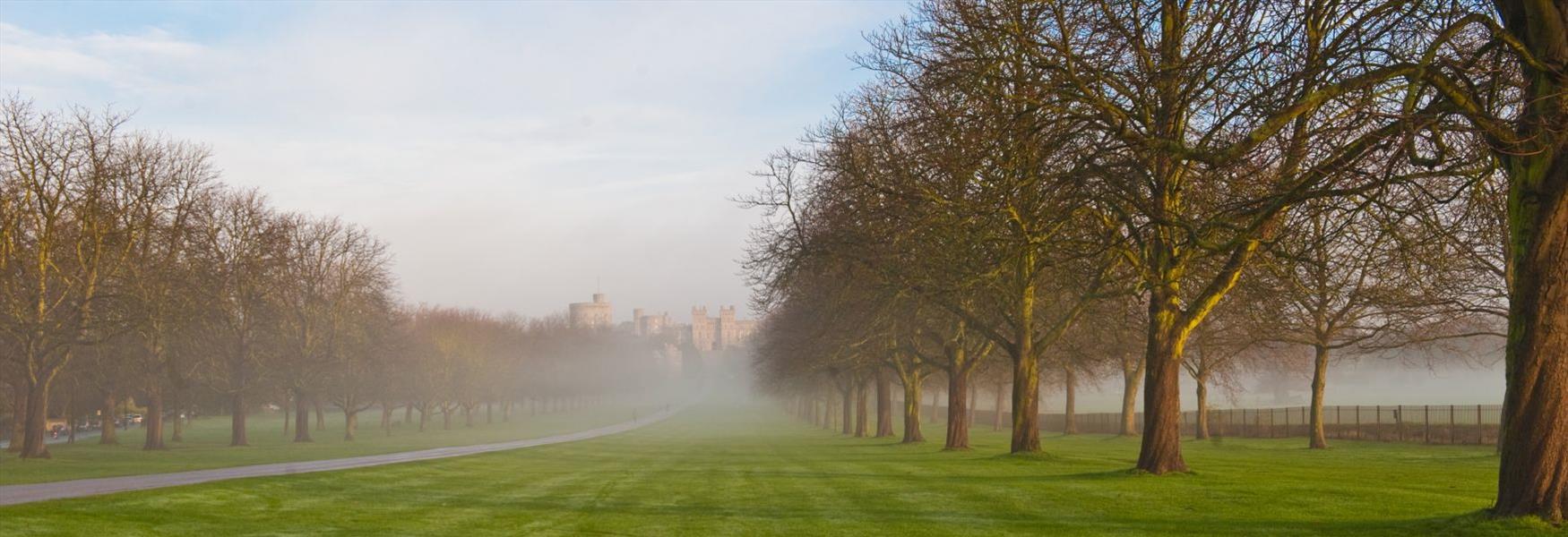 The Long Walk and Windsor Castle