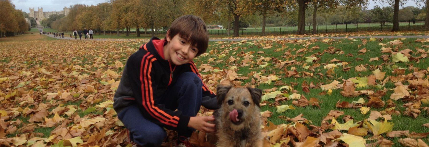 The Long Walk in Windsor is the perfect place to collect conkers and leaves!