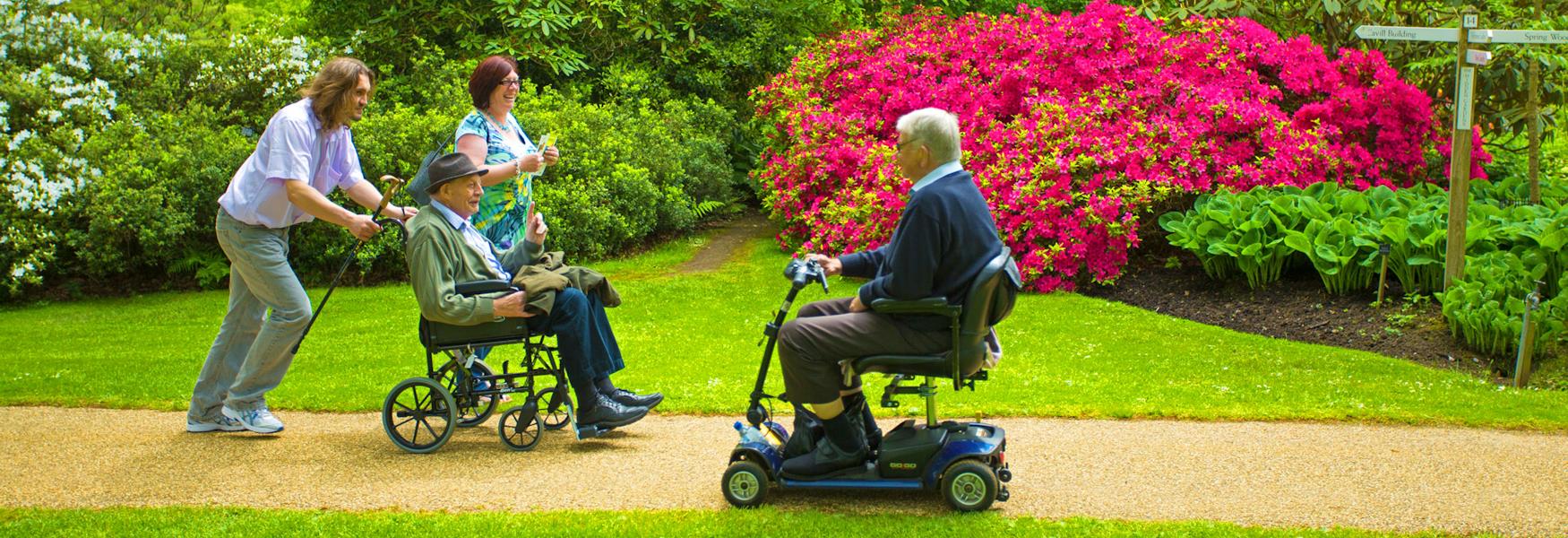 Access for all at The Savill Garden