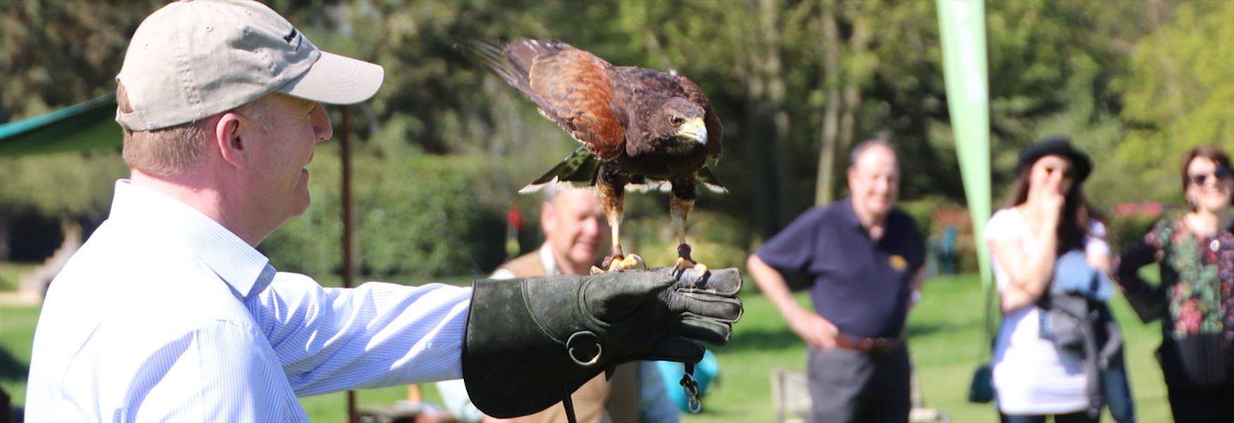 Harris Hawk Racing