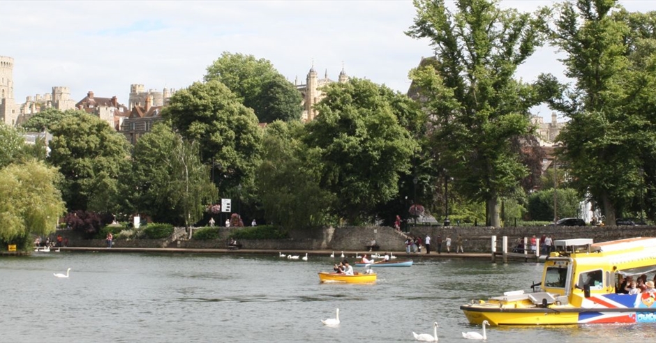 duck tours maidenhead