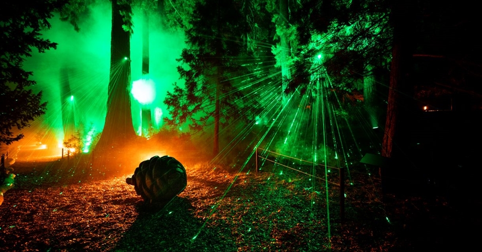 Windsor Great Park Illuminated Visit Windsor