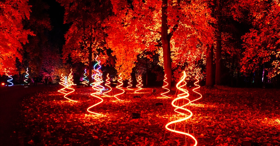 Windsor Great Park Illuminated - Visit Windsor