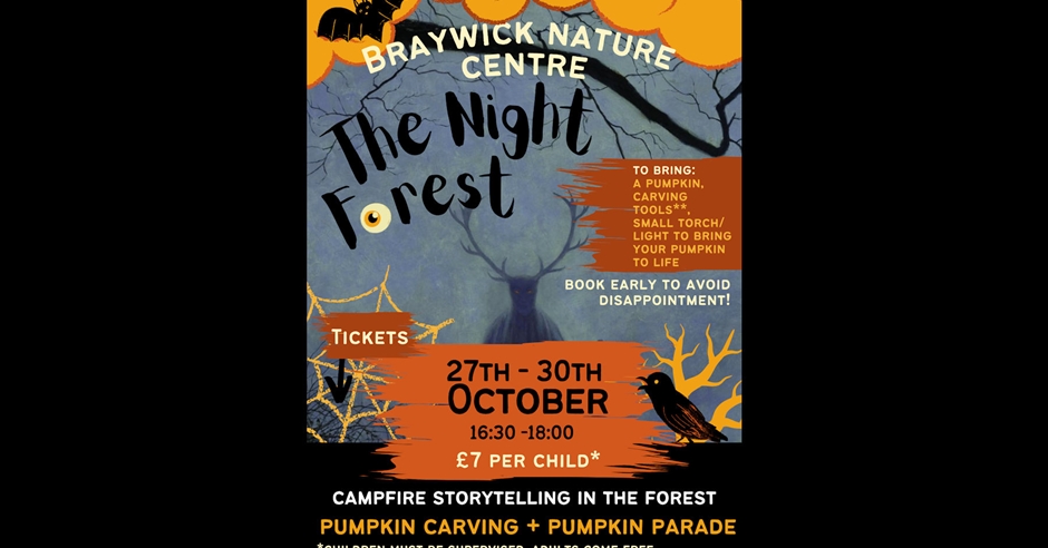 The Night Forest at Braywick Nature Centre Visit Windsor