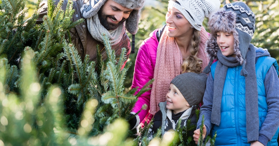 Christmas Tree Shop at Visit Windsor - Windsor Park Great