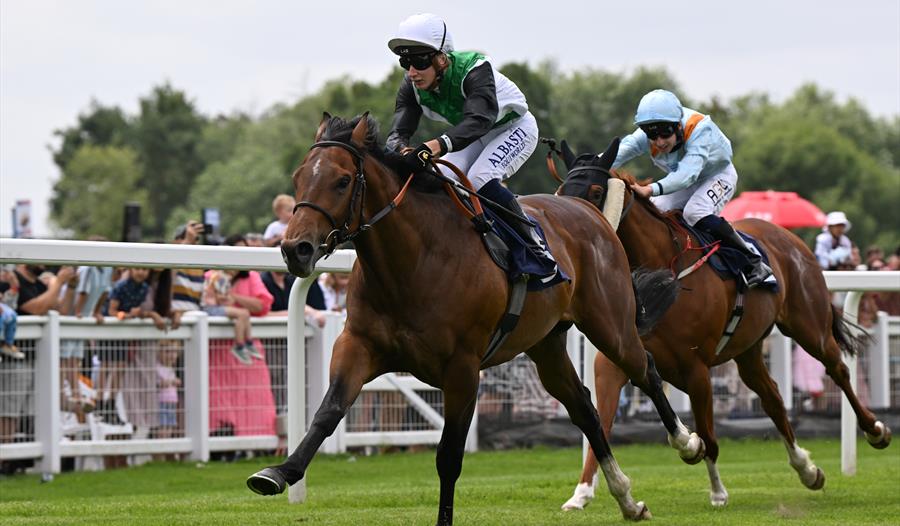 Horses racing down the rails past a crowd