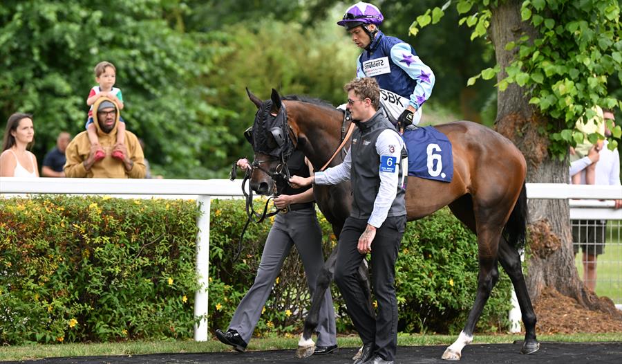 Horse and jockey in the parade ring watched by family