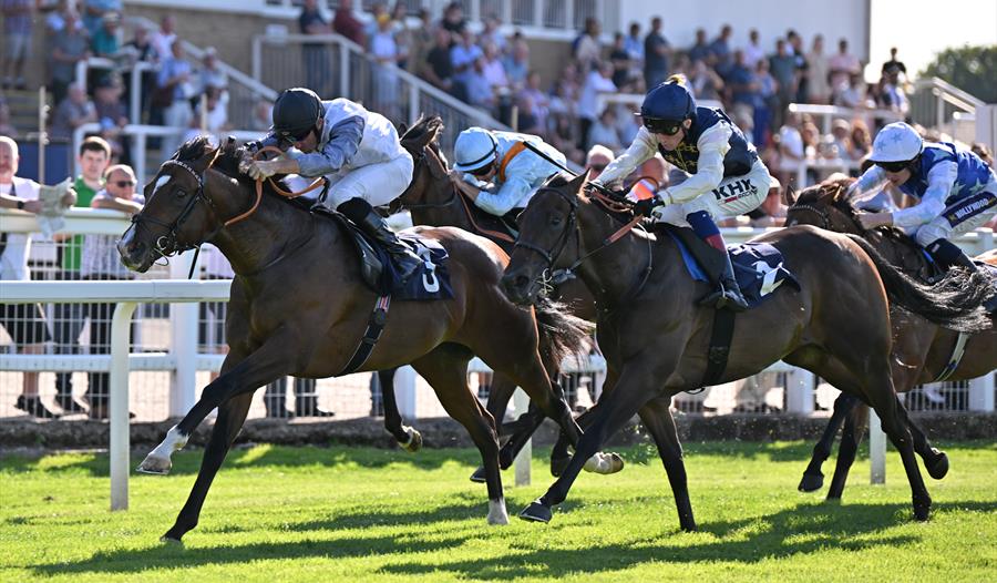 Horses racing past the crowd