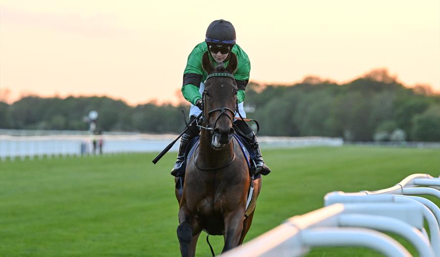 Horse racing by the rail at sunset