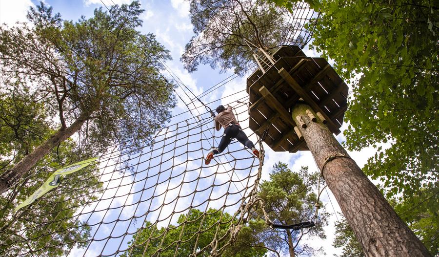 Go Ape - activities in the trees
