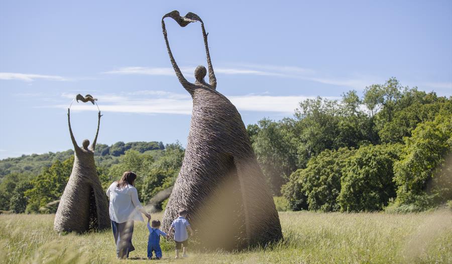 Meadow Wonders - NT - Wicker sculptures