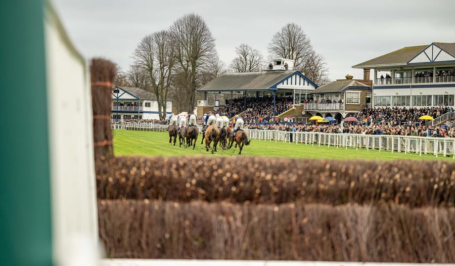 Jumps Racing at Royal Windsor Racecourse