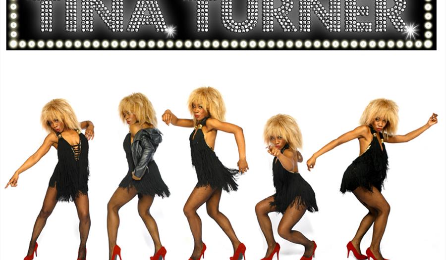 Tina Turner Tribute night