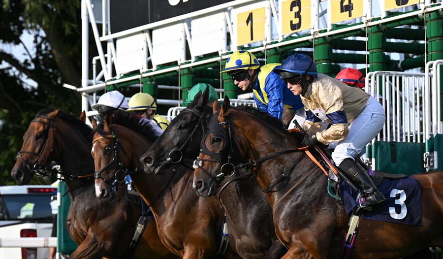 Horses burst out of the starting gate