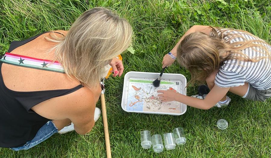 Minibeast Safari, woman and child searching for bugs