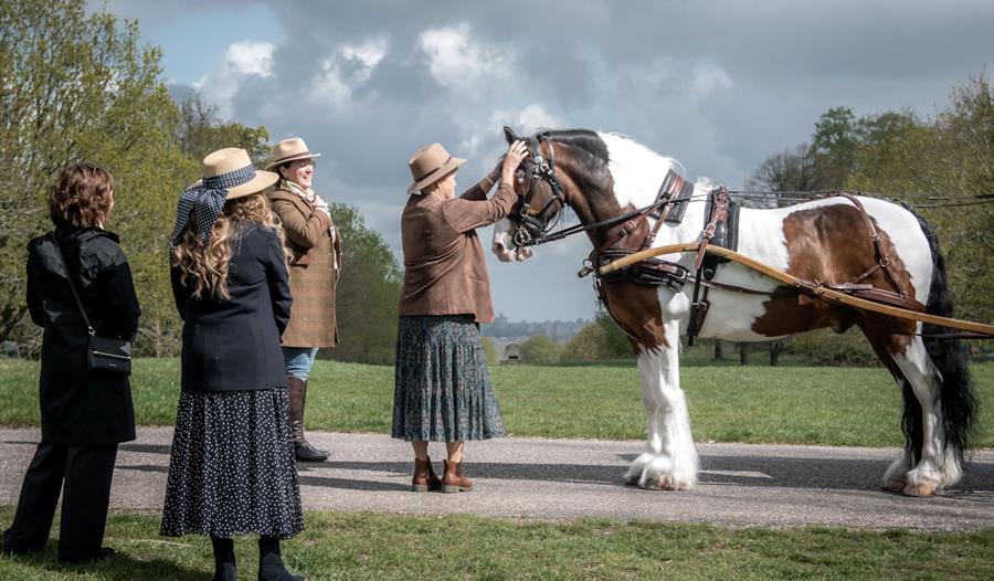 Windsor Carriages