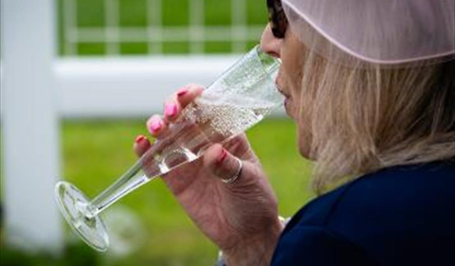 Windsor Racecourse Fizz & Flutes Racenight - lady drinking fizz out of a flute next to the racecourse