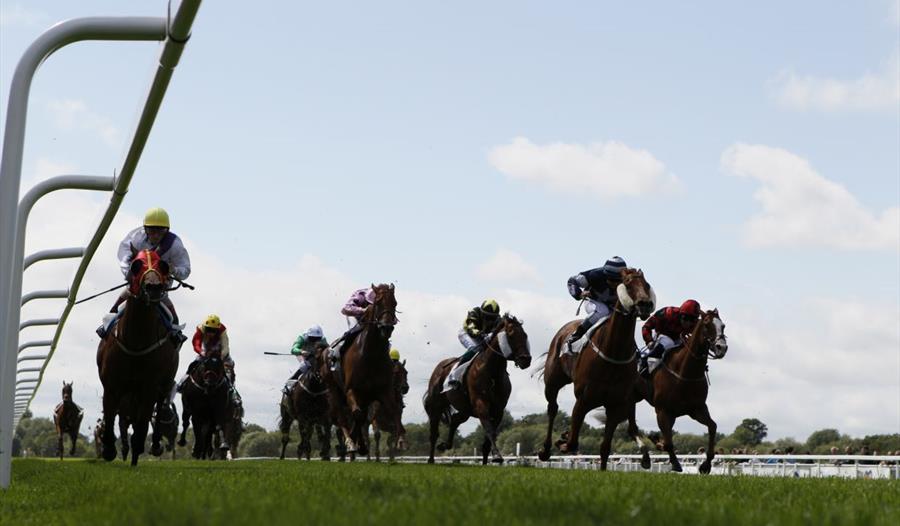 Royal Windsor Racecourse