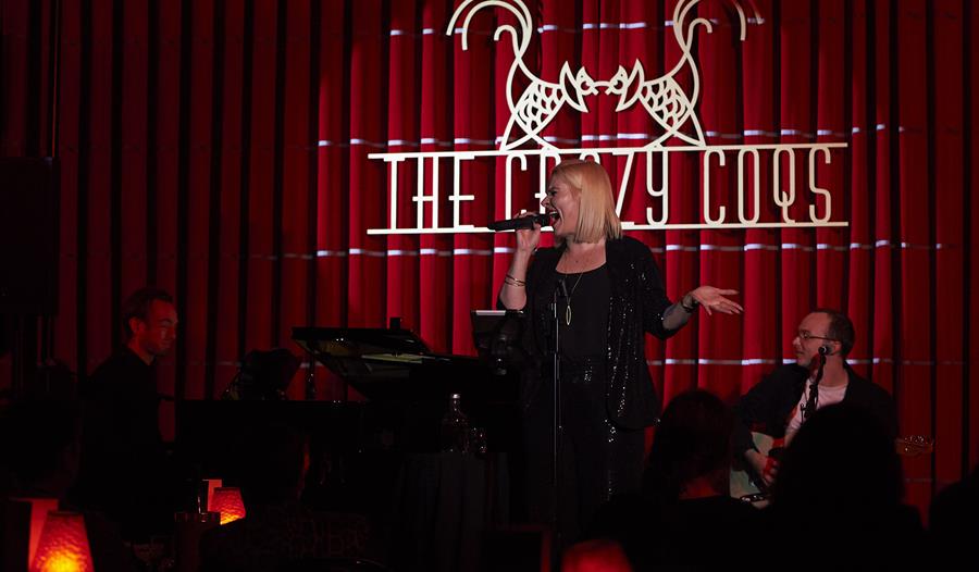 A Night of Adele - singer on stage