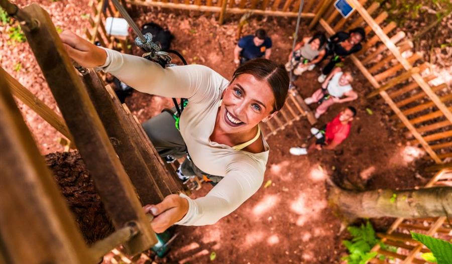 Lady climbing a ladder