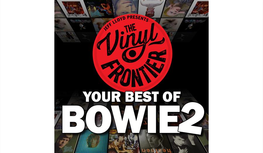 The Vinyl Frontier - Best Of Bowie 2 - graphic