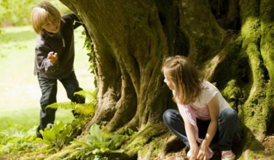 Children at Cliveden