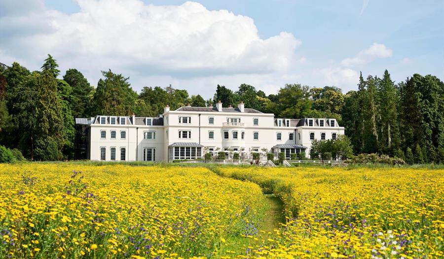Coworth Park Meadow