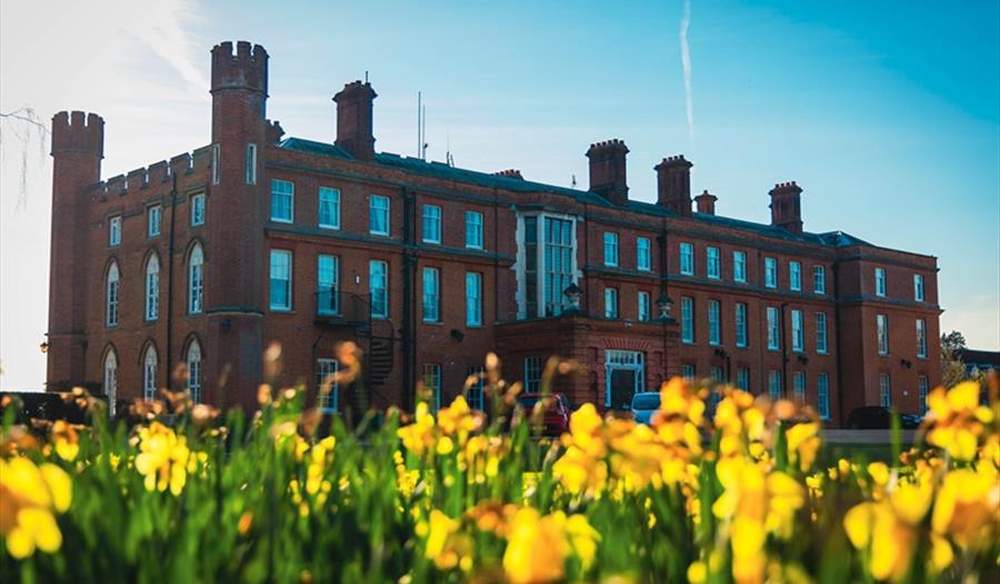Cumberland Lodge with daffodils in the foreground
