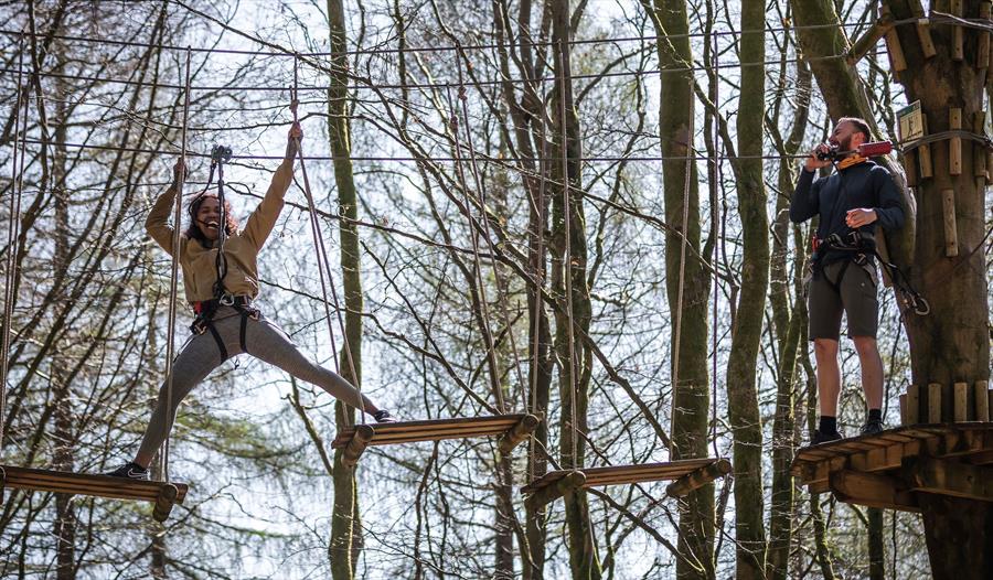 © Go Ape - people using ropes and planks to traverse amongst the treetops