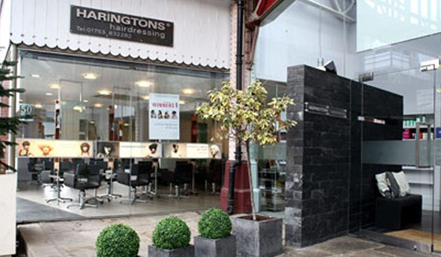 Haringtons Maidenhead