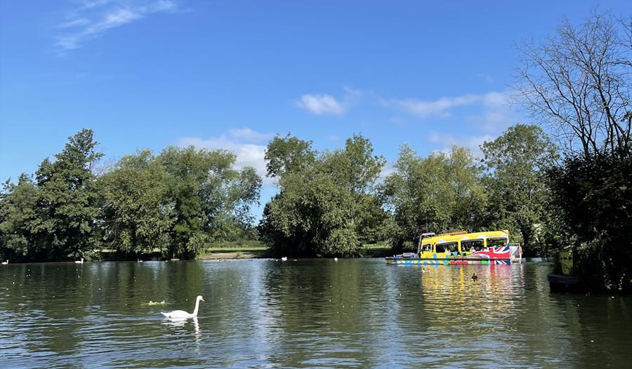 Windsor Duck Tours - Visit Windsor
