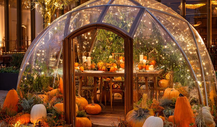 Pumpkin Pavilion Pod