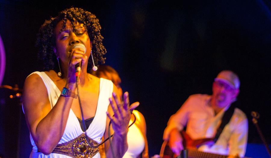 Lady singing, gentleman in background playing guitar