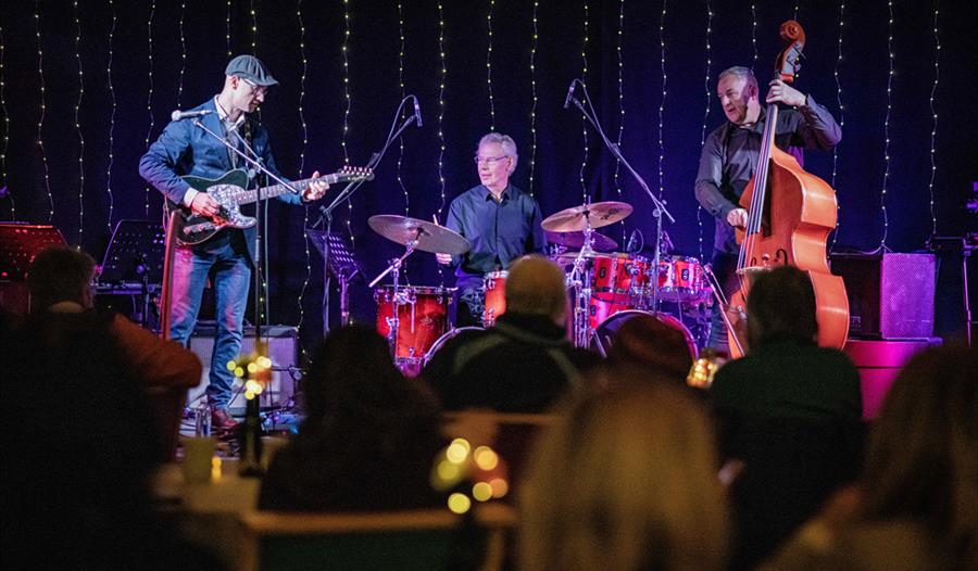 The Pete Roth Trio - Band playing for audience