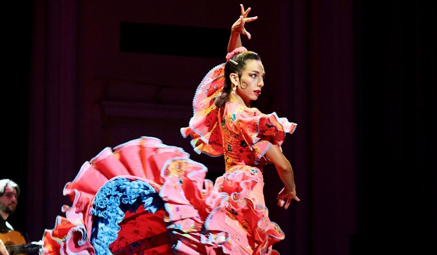 Rebeca Ortega Flamenco: Beyond Borders