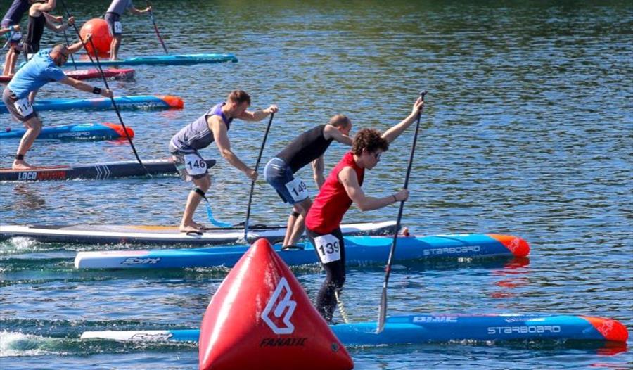 A row of stand up paddleboarders