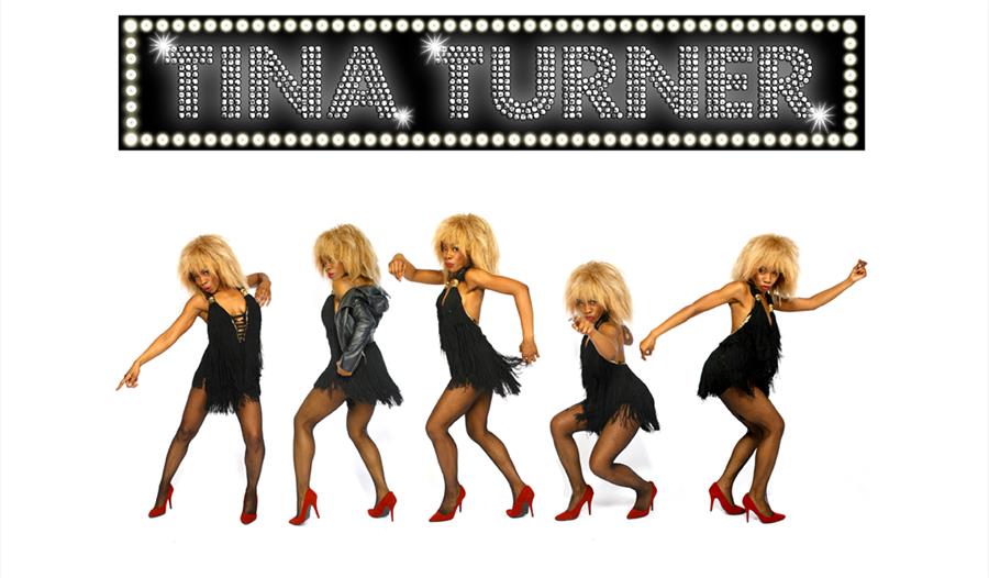Tina Turner graphic, dancing