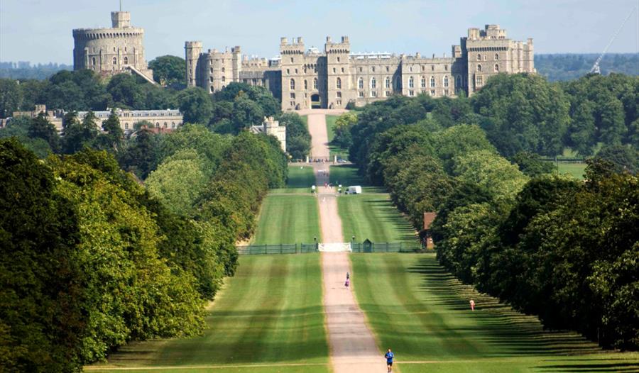 The Long Walk, Windsor Great Park