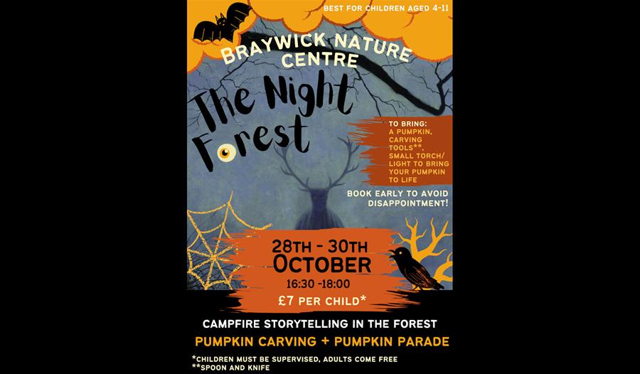 The Night Forest poster - BNC
