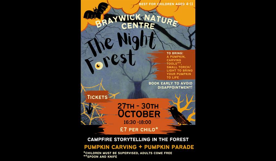 The Night Forest poster - BNC